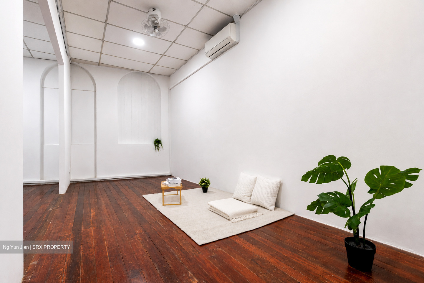 Syed Alwi Road (D8), Shop House #583771141